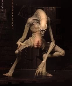 NECA Aliens - Deluxe Alien Resurrection Newborn Figur -FUNKO Store 1427da6388413fe6b3828e92b2179136c2b06c16620ca17c18afa50085c260b5