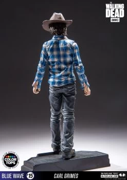 The Walking Dead - Carl Grimes 17cm Color Tops Figur -FUNKO Store 1e0ca26d64bfa90b8156f5689938b5306cac574b9a977358bb945bd4b698b3ad