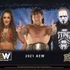 Upper Deck All Elite Wrestling (AEW) 2021 Hobby Box (EN)