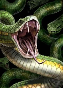 Snakes Protectors Japan