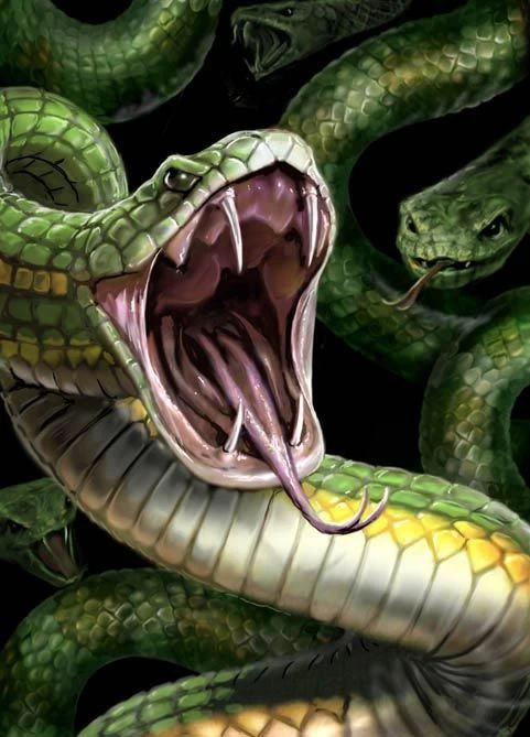 Snakes Protectors Japan 3 Snakes Protectors Japan