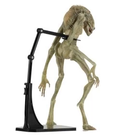 NECA Aliens - Deluxe Alien Resurrection Newborn Figur -FUNKO Store 405b4bab202f295fdba211f834df8dc18a76235563f7f37b205107664c1ebded