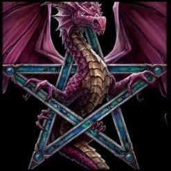 9 Pocket Portfolio Penta Dragon