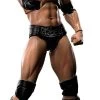 WWE Superstar Series - The Rock - S.H. Figuarts Figur