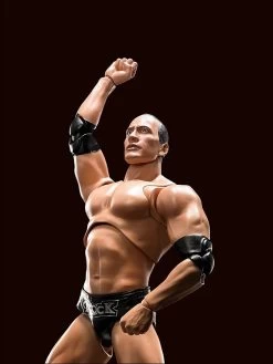 WWE Superstar Series - The Rock - S.H. Figuarts Figur 17 WWE Superstar Series - The Rock - S.H. Figuarts Figur -FUNKO Store 814ua ov4ql. ac sl1500