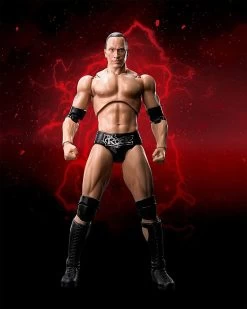 WWE Superstar Series - The Rock - S.H. Figuarts Figur 13 WWE Superstar Series - The Rock - S.H. Figuarts Figur -FUNKO Store 81fea5bkxfl. ac sl1500