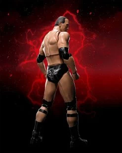 WWE Superstar Series - The Rock - S.H. Figuarts Figur 14 WWE Superstar Series - The Rock - S.H. Figuarts Figur -FUNKO Store 81h6f8v uzl. ac sl1500
