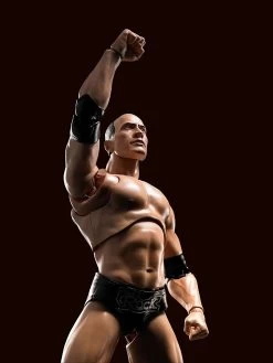 WWE Superstar Series - The Rock - S.H. Figuarts Figur 18 WWE Superstar Series - The Rock - S.H. Figuarts Figur -FUNKO Store 81igpavzhnl. ac sl1500