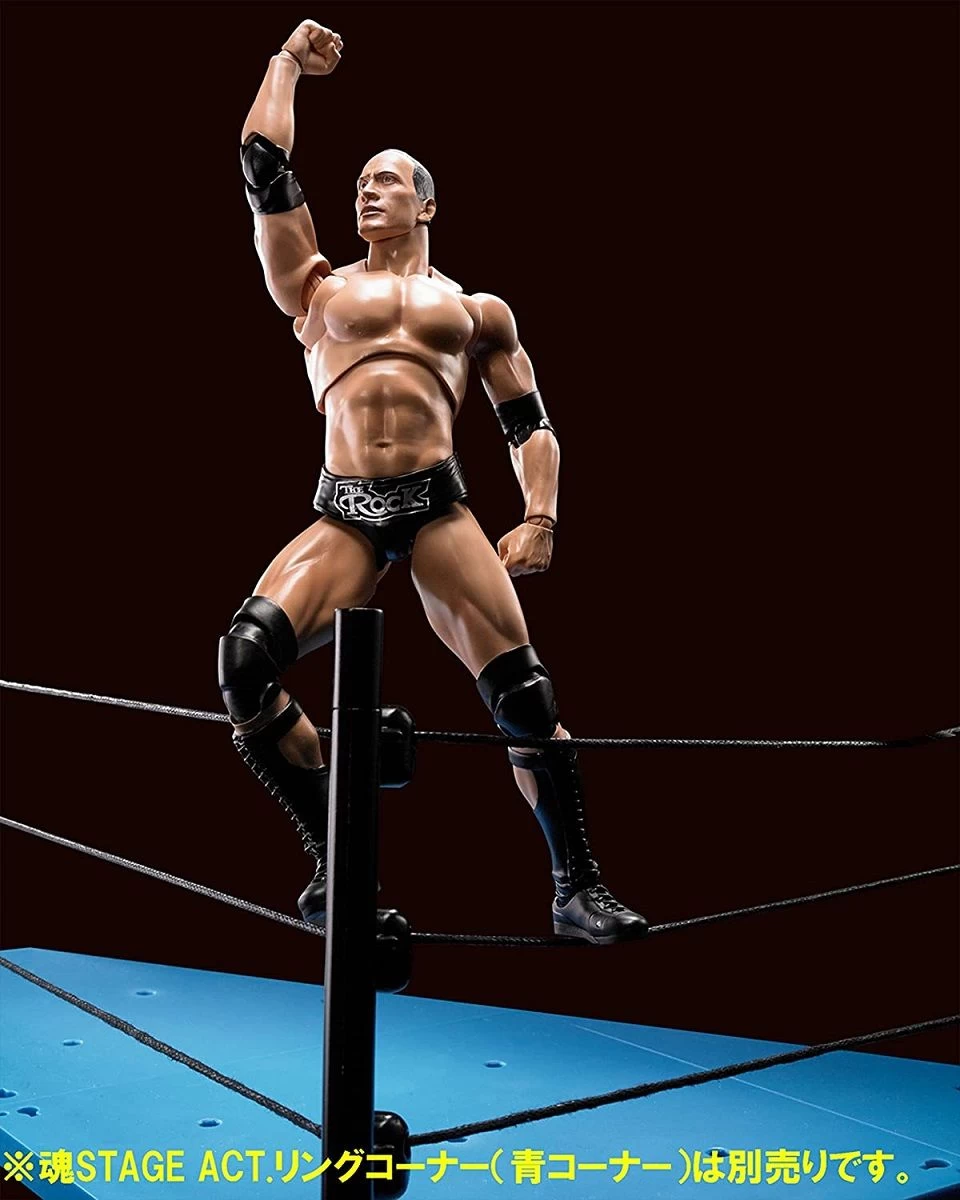 WWE Superstar Series - The Rock - S.H. Figuarts Figur 11 WWE Superstar Series - The Rock - S.H. Figuarts Figur – Bild 9