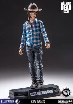 The Walking Dead - Carl Grimes 17cm Color Tops Figur -FUNKO Store a26be619843119f5b1425523f00657ff0449f5179564783397726944dd19373a
