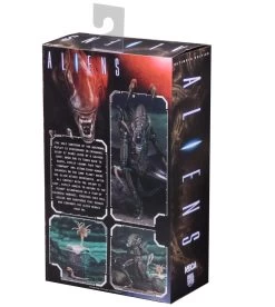 NECA Aliens (1986) - Brown Ultimate Alien Warrior Actionfigur -FUNKO Store b1a8df506ee86dba9212668e5970ff6674e9b5cb2cb252d194719d9f4b0d173b