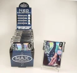 Lady & Dragon Protectors - Japan