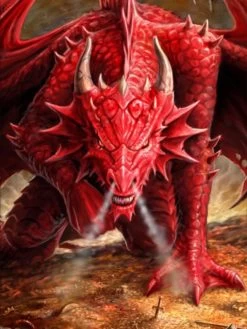 Vertical Deck Armor Wrath Of The Dragon