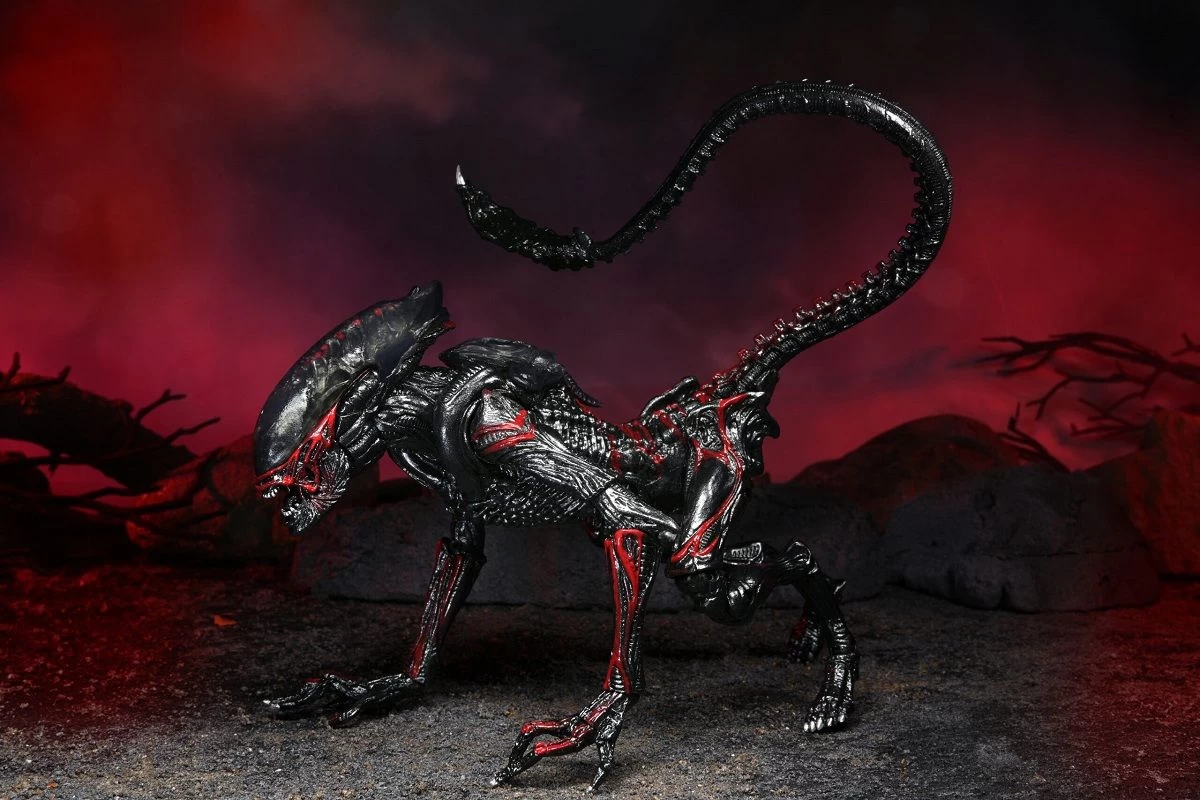 NECA Kenner Tribute Figur - Ultimate Night Cougar Alien 4 NECA Kenner Tribute Figur - Ultimate Night Cougar Alien – Bild 2