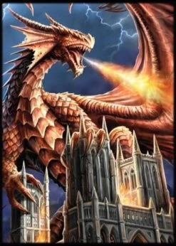 Dragon Fury Protectors Japan