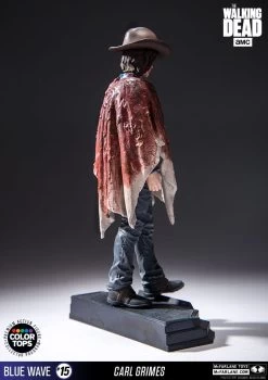 The Walking Dead - Carl Grimes 17cm Color Tops Figur -FUNKO Store f258518389e21b24b211b29354e6744954cebbb1535b3be58392822696f42521