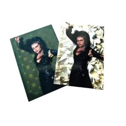 Panini Harry Potter Evolution Trading Cards Starterset (EN) -FUNKO Store harry potter cards 2021 beispiel fragmented reality parallelwvwkcmxrgszmf 1 2