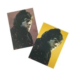 Panini Harry Potter Evolution Trading Cards Booster Display (EN) -FUNKO Store harry potter cards 2021 beispiel gold parallel3qle1q6i45ayd