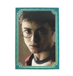 Panini Harry Potter Evolution Trading Cards Starterset (EN) -FUNKO Store harry potter evolution basecard 2