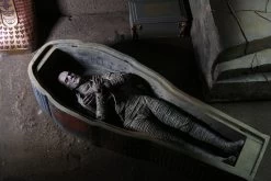 NECA Universal Monsters Figur- Ultimate Mummy (Color) -FUNKO Store mummy9 scaled 1