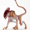 NECA Kenner Tribute Panther Alien - Action Figur 2 NECA Kenner Tribute Panther Alien - Action Figur -FUNKO Store panther alien scaled 1